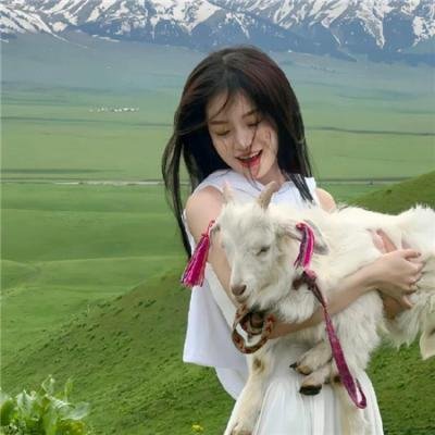 德云社丙申年封箱庆典2017