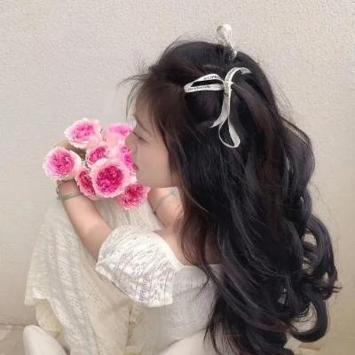 芭比姊妹保姆大冒险